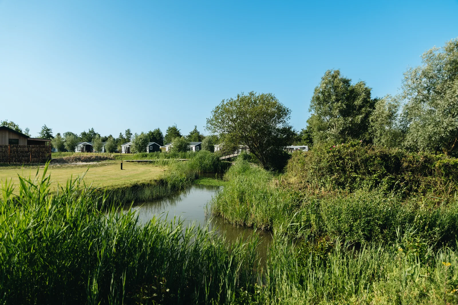 Campinginsel 1